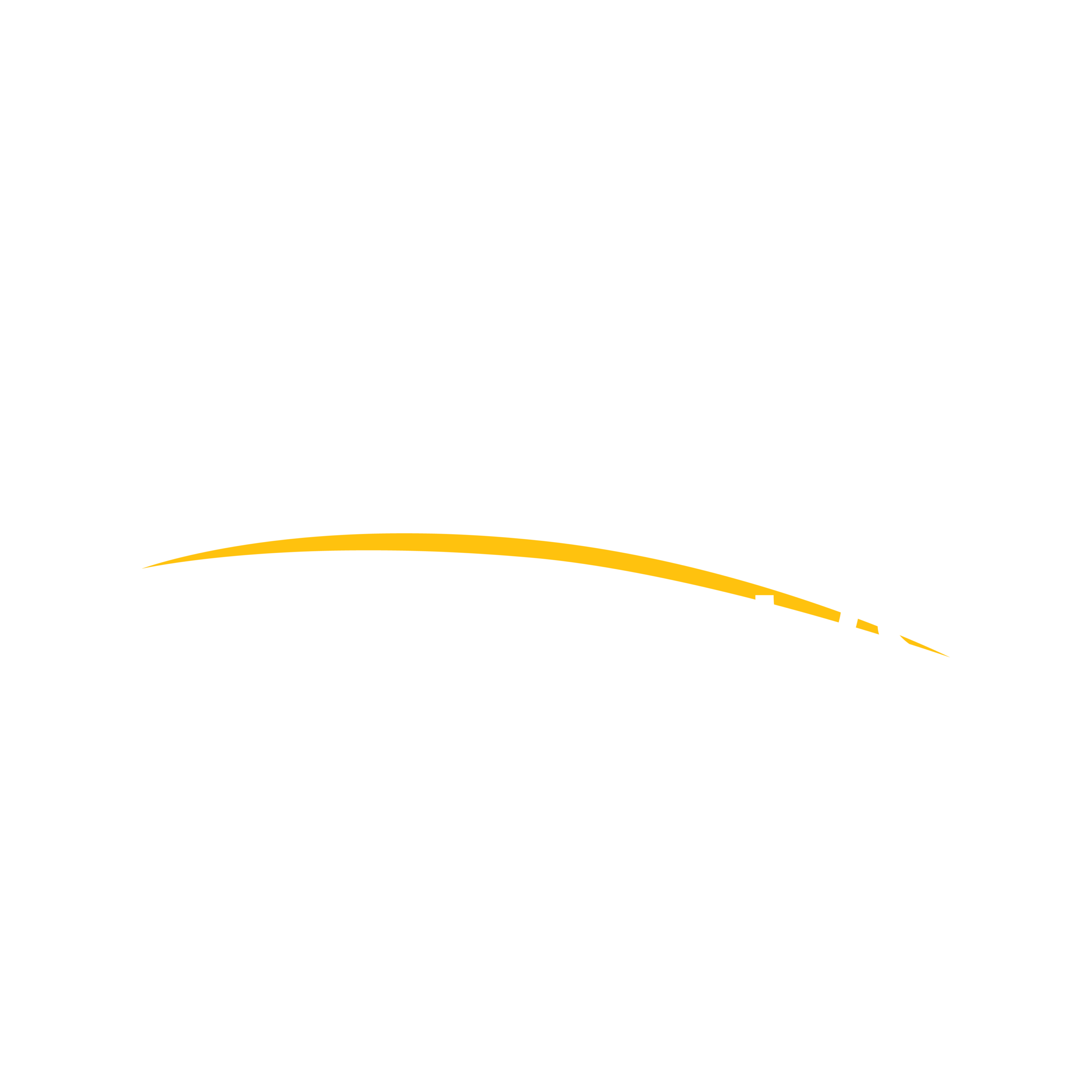 Surfink Holidays Logo