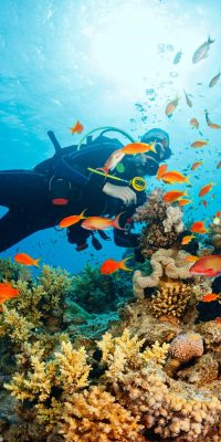 phu-quoc-snorkeling-01_1692678258